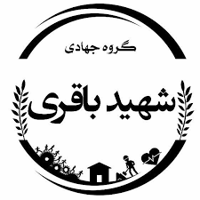 تصویر همراه